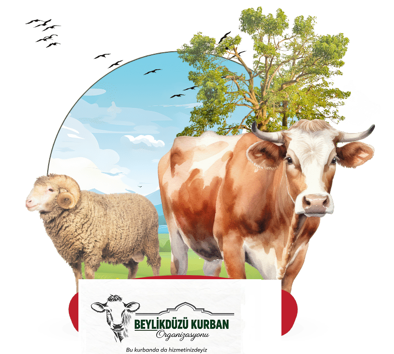 Kâr amacı gütmeyen kuruluş