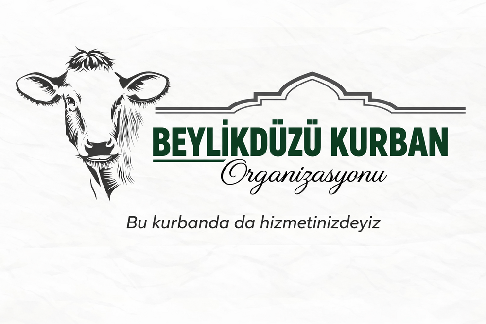 Kâr amacı gütmeyen kuruluş